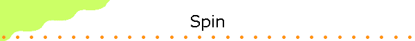 Spin